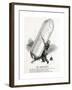 WW1 - Successful Zeppelin Raid-F^h^ Townsend-Framed Giclee Print