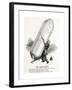 WW1 - Successful Zeppelin Raid-F^h^ Townsend-Framed Giclee Print