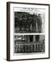 WW1 - WAACS (Air Force Auxiliaries) - No.2 RFC Cadet Wing-null-Framed Photographic Print