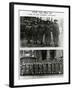 WW1 - WAACS (Air Force Auxiliaries) - No.2 RFC Cadet Wing-null-Framed Photographic Print