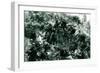 WW1 - Western Front - Canadian Troops in Action at St. Eloi-J.H. Jurres-Framed Art Print