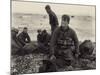 WW2 American Soldiers on Omaha Beach Recovering the Dead after the D-Day, 1944-null-Mounted Photo