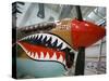 WW2 Era P-40 Tiger Shark Fighter Plane, Palm Springs Air Museum, Palm Springs, California, USA-Walter Bibikow-Stretched Canvas