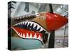 WW2 Era P-40 Tiger Shark Fighter Plane, Palm Springs Air Museum, Palm Springs, California, USA-Walter Bibikow-Stretched Canvas