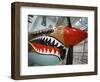 WW2 Era P-40 Tiger Shark Fighter Plane, Palm Springs Air Museum, Palm Springs, California, USA-Walter Bibikow-Framed Photographic Print