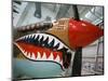 WW2 Era P-40 Tiger Shark Fighter Plane, Palm Springs Air Museum, Palm Springs, California, USA-Walter Bibikow-Mounted Photographic Print