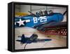 WW2 Era SBD Dauntless Naval Dive Bomber, Palm Springs Air Museum, Palm Springs, California, USA-Walter Bibikow-Framed Stretched Canvas