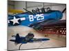 WW2 Era SBD Dauntless Naval Dive Bomber, Palm Springs Air Museum, Palm Springs, California, USA-Walter Bibikow-Mounted Premium Photographic Print