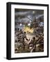 WW2 Germans in France-null-Framed Art Print