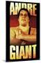 WWE - Andre The Giant-null-Mounted Poster