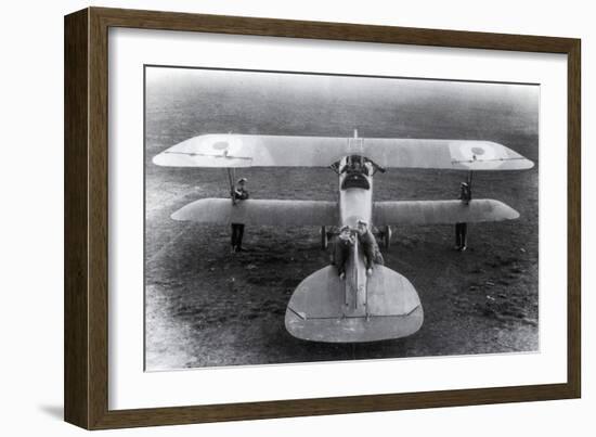 WWI, Albatros D.III Fighter Plane-Science Source-Framed Giclee Print