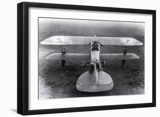 WWI, Albatros D.III Fighter Plane-Science Source-Framed Giclee Print