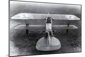 WWI, Albatros D.III Fighter Plane-Science Source-Mounted Giclee Print