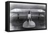 WWI, Albatros D.III Fighter Plane-Science Source-Framed Stretched Canvas