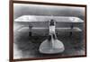 WWI, Albatros D.III Fighter Plane-Science Source-Framed Giclee Print