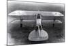 WWI, Albatros D.III Fighter Plane-Science Source-Mounted Giclee Print