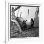 WWI, American Soldiers Charging Under Fire-Science Source-Framed Giclee Print