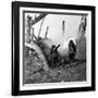 WWI, American Soldiers Charging Under Fire-Science Source-Framed Giclee Print