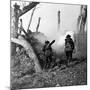 WWI, American Soldiers Charging Under Fire-Science Source-Mounted Giclee Print