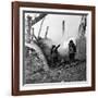 WWI, American Soldiers Charging Under Fire-Science Source-Framed Giclee Print