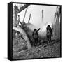 WWI, American Soldiers Charging Under Fire-Science Source-Framed Stretched Canvas