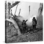 WWI, American Soldiers Charging Under Fire-Science Source-Stretched Canvas