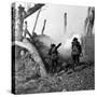 WWI, American Soldiers Charging Under Fire-Science Source-Stretched Canvas