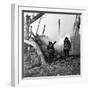 WWI, American Soldiers Charging Under Fire-Science Source-Framed Giclee Print