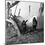 WWI, American Soldiers Charging Under Fire-Science Source-Mounted Giclee Print