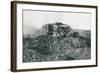 WWI British Tank in Action on the Western Front, 1917-English Photographer-Framed Photographic Print