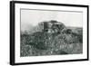 WWI British Tank in Action on the Western Front, 1917-English Photographer-Framed Photographic Print