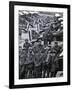 WWI, No. 1 RAF Squadron, 1918-Science Source-Framed Giclee Print