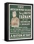 Wwi Poster for Lecture-Ruth Farnam-Framed Stretched Canvas