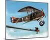 WWI Rickenbacker's (In Sky) Art Poster Print-null-Mounted Poster