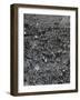 WWI, Second Battle of the Marne, 1918-Science Source-Framed Giclee Print