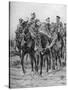 WWI - Wounded British soldiers on horseback-Richard Caton II Woodville-Stretched Canvas