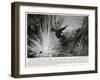 WWI-W.s. Bagdatopulos-Framed Art Print