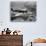 WWII British RAF Spitfire-null-Premium Photographic Print displayed on a wall