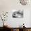 WWII British RAF Spitfires-null-Photographic Print displayed on a wall