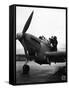 WWII England New Fulmar Plane-Eddie Worth-Framed Stretched Canvas