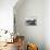 WWII German JU 87 Stuka-null-Stretched Canvas displayed on a wall