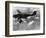 WWII German Plane Stuka-null-Framed Photographic Print