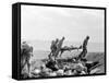 WWII Iwo Jima U.S. Invasion-Joe Rosenthal-Framed Stretched Canvas