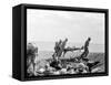 WWII Iwo Jima U.S. Invasion-Joe Rosenthal-Framed Stretched Canvas