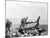 WWII Iwo Jima U.S. Invasion-Joe Rosenthal-Mounted Photographic Print