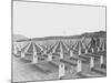 WWII Iwo Jima Usmc Cemetery-Murray Befeler-Mounted Photographic Print