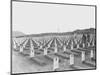 WWII Iwo Jima Usmc Cemetery-Murray Befeler-Mounted Photographic Print