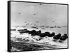 WWII Normandy Invasion Omaha-null-Framed Stretched Canvas