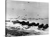 WWII Normandy Invasion Omaha-null-Stretched Canvas