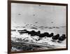 WWII Normandy Invasion Omaha-null-Framed Photographic Print